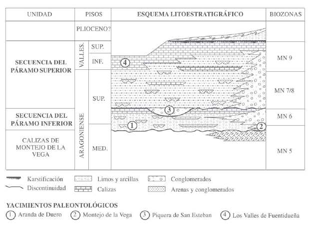 Figura 10.- Esquema general de la litoestratigrafa del Mioceno en el borde suroriental de la Cuenca del Duero.